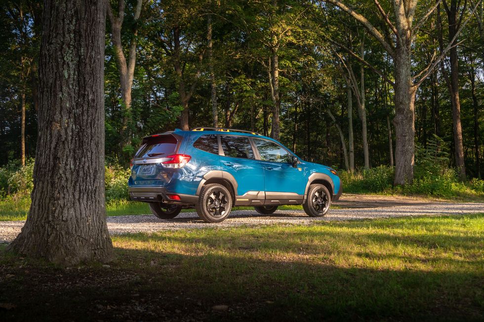 subaru forester wilderness